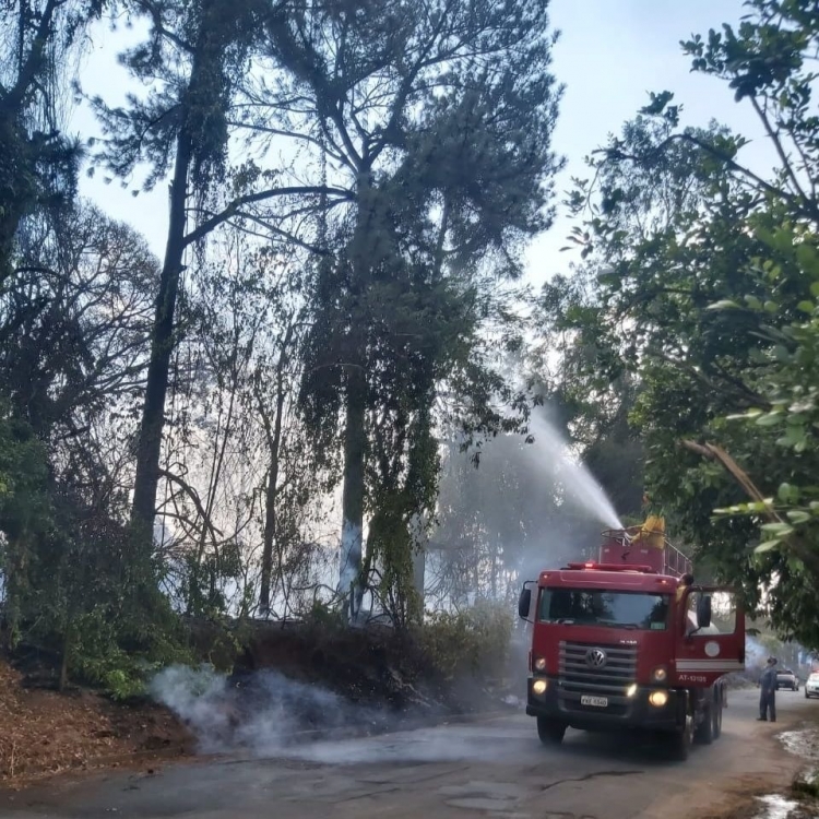 Incêndio destruiu aproximadamente 65 mil metros de área do Instituto Florestal de Rio Preto 