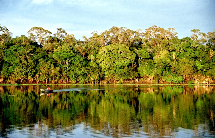 Rio Urubu - Amazonia