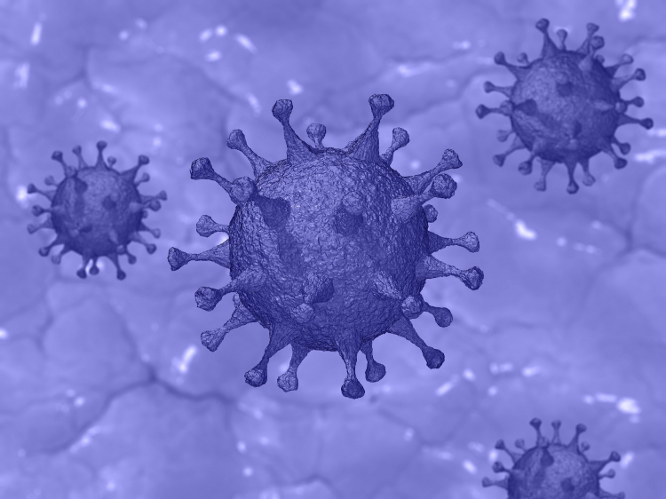 Ômicron, a nova mutação do coronavirus, já tem casos confirmados em seis países