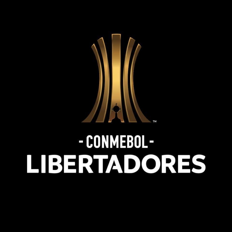 A Conmebol, na tentativa de aumentar o nível das competições de seus dez países filiados na América do Sul, anunciou que dará um prêmio de US$ 1 milhão (cerca de R$ 5,2 milhões) aos clubes que se sagrarem campeões nacionais.